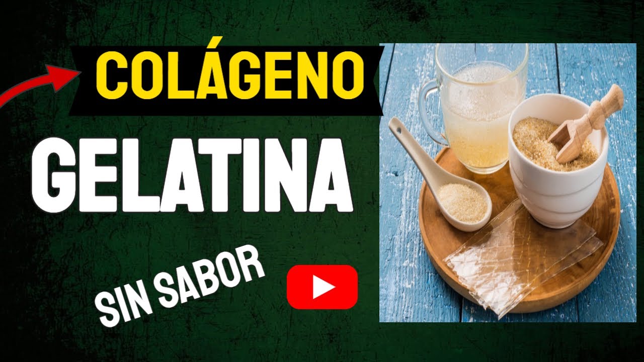 GELATINA SIN SABOR BENEFICIOS Salud y Belleza 【2024】 YouTube