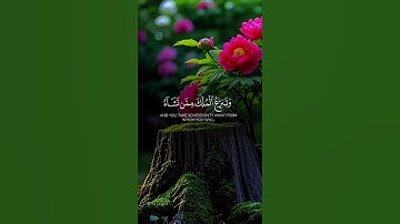تلاوات خاشعة تريح القلب  #قرآن #قران_كريم #قران #تلاوة_خاشعة #تلاوات #راحة_نفسية #مكة #الحرم_المكي