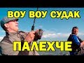 Судачара лупит по злому)))) Бюджетная резина на судака