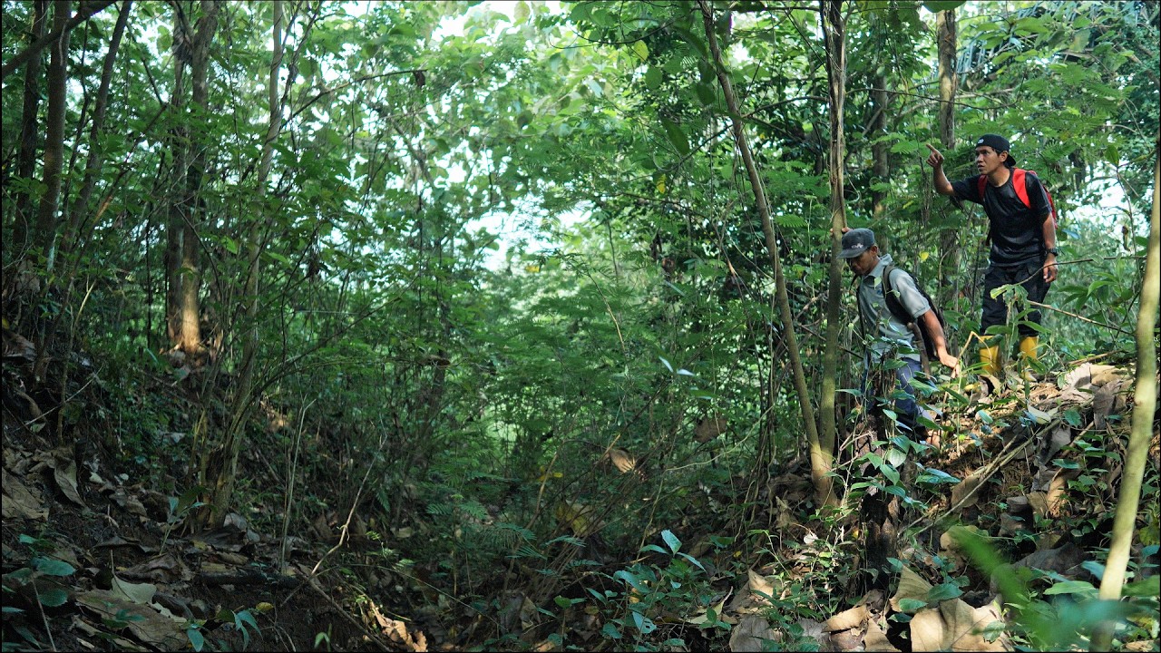 Berburu Jamur, Ikan & Rebung Selama 2 Hari Menjelang Puasa