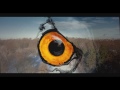 Bird´s Eye | Berlin - #4 Hasenheide