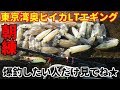 湾奥ヒイカLTエギング 11月も絶好調!朝練爆釣 基本&応用テク
