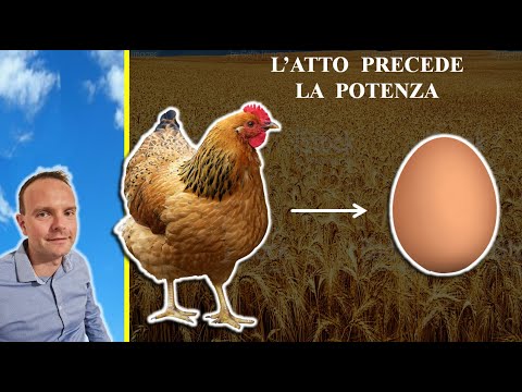 Video: Differenza Tra Possibilità Logica E Possibilità Metafisica