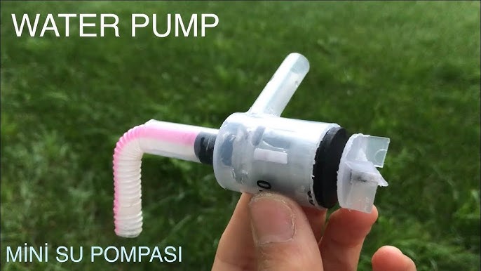 Virtual qiz bilan suhbatlashish uchun dastur