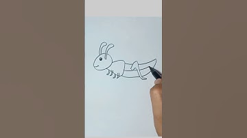 how to draw grasshopper #drawing #drawings #easydrawing #howtodraw #easydrawingtutorial #shorts #fyp