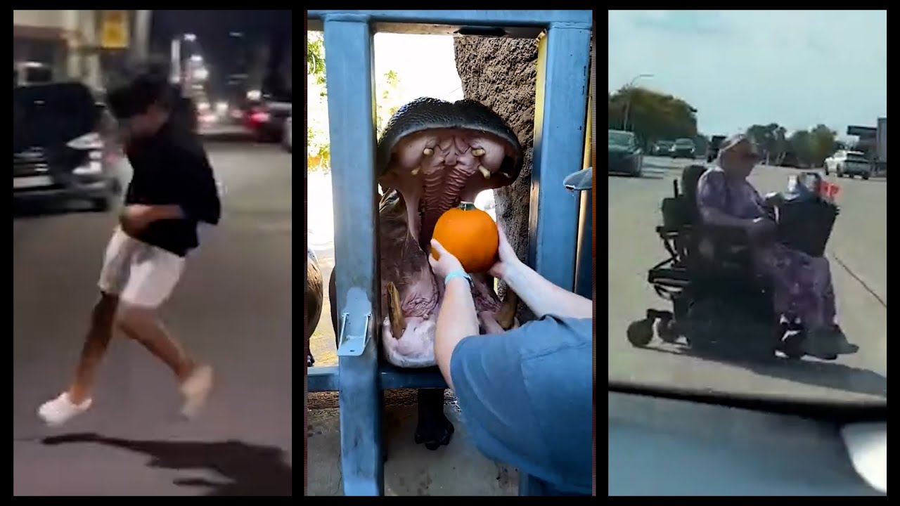 How do they Do It