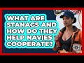 What Are STANAGs And How Do They Help Navies Cooperate? - Maritime Defenders