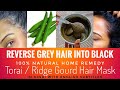 REVERSE GREY HAIR to BLACK | Ridge gourd / Tori / Torai Hair mask | 100% Natural remedy.