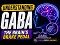 Understanding GABA: The Brain's Brake Pedal