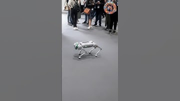 Robot dog #shorts #robot #dog #ai #technology #tech #robotdog #robots #fun #event #london #mustsee