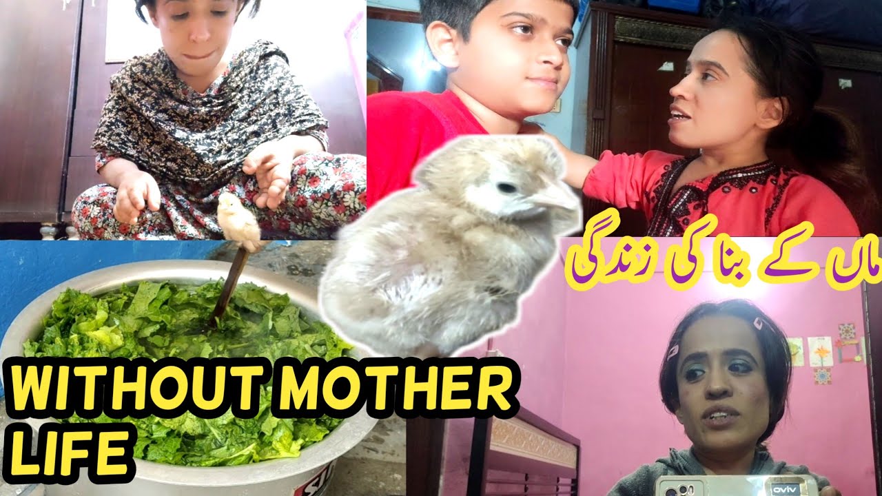 a-life-without-mother-youtube