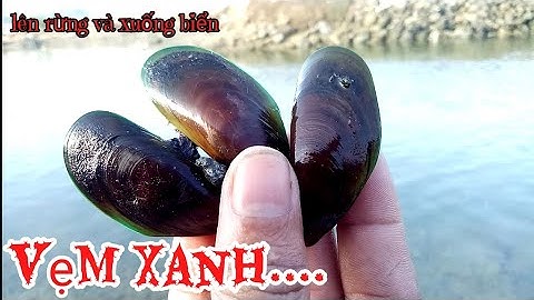 Bắt con vẹm xanh tại rạch nước chảy nhiều không ngờ.