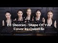 Shape Of You (cover by Quintelle