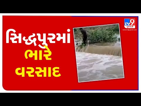 Rural areas of Siddhpur soaked up due to heavy rainfall, Patan | TV9News