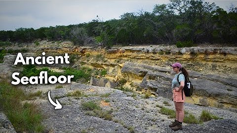100-Million-Year-Old Fossil Reefs Indicate Ancient Ocean Covered Texas! w/@GEOGIRL