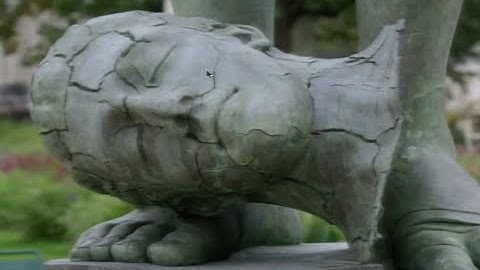 Giulio Tononi: 2011 Allen Institute for Brain Science Symposium