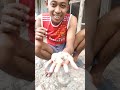 panen piyikan lagi #merpati