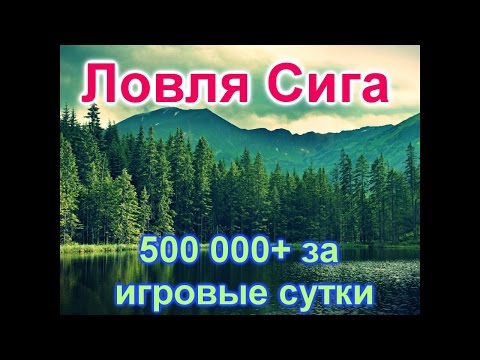 на что клюет сиг в рыбалке 3