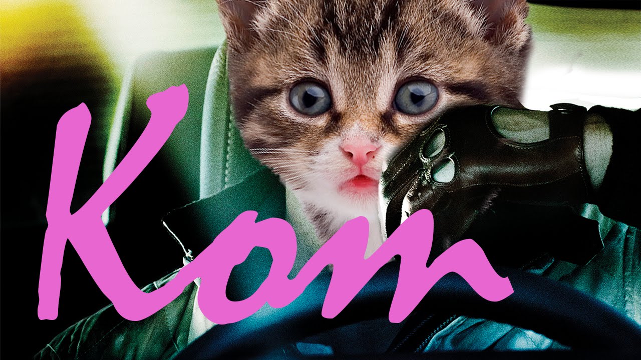Кот около бмв