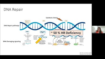 Synthetic Lethality in Cancer Therapeutics - OICR Mondays