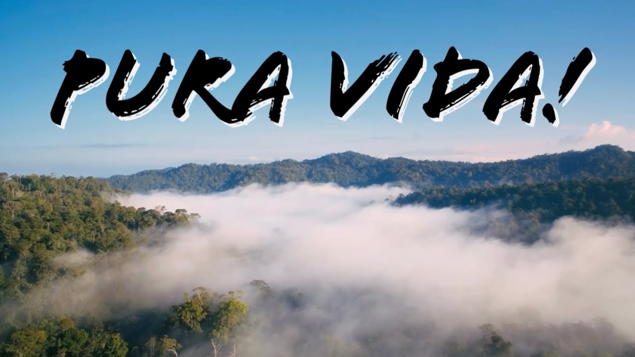 Descubre El Significado De Pura Vida La Actitud Que Define La 