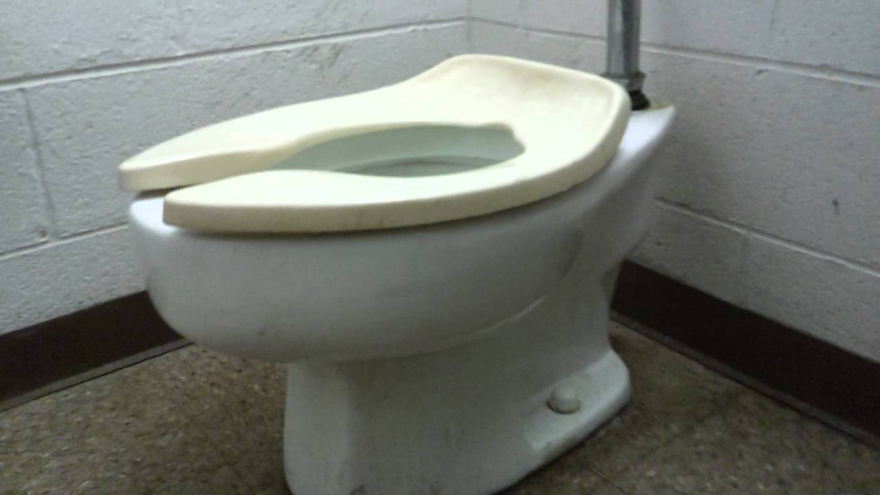 toilet tour san diego
