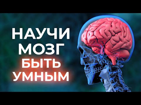 Как прокачать мозг? / Как стать умнее и улучшить работу мозга?