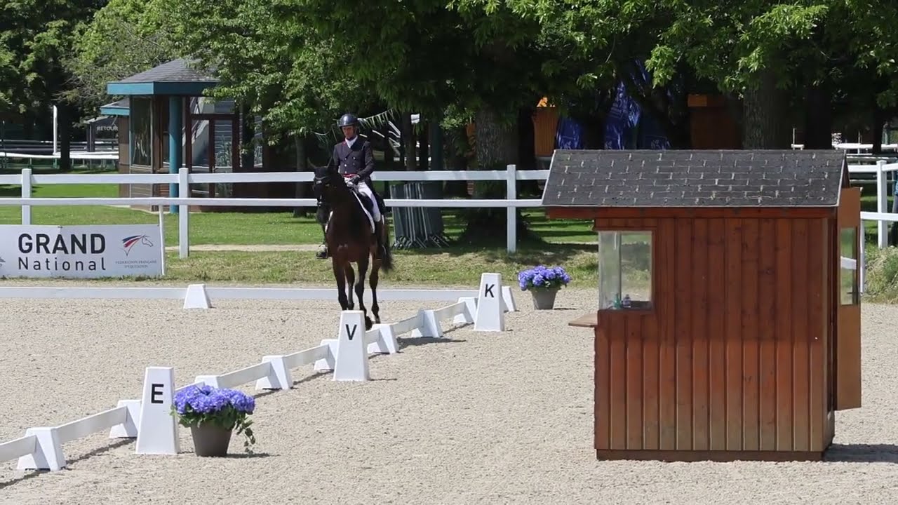 Dressage de Nicolas Touzaint et ABSOLUT GOLD*HDC. Grand National. Le Lion d'Angers 2024