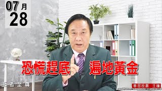 20210728《恐慌趕底   遍地黃金》今天在10點20分以前的殺盤是無量，都是散戶殺的。#王曈 #王者至尊