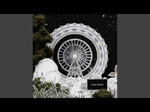 サカナクション NIGHT FISHING レコード Amazon.co.jp: NIGHT FISHING - サカナクション [Analog