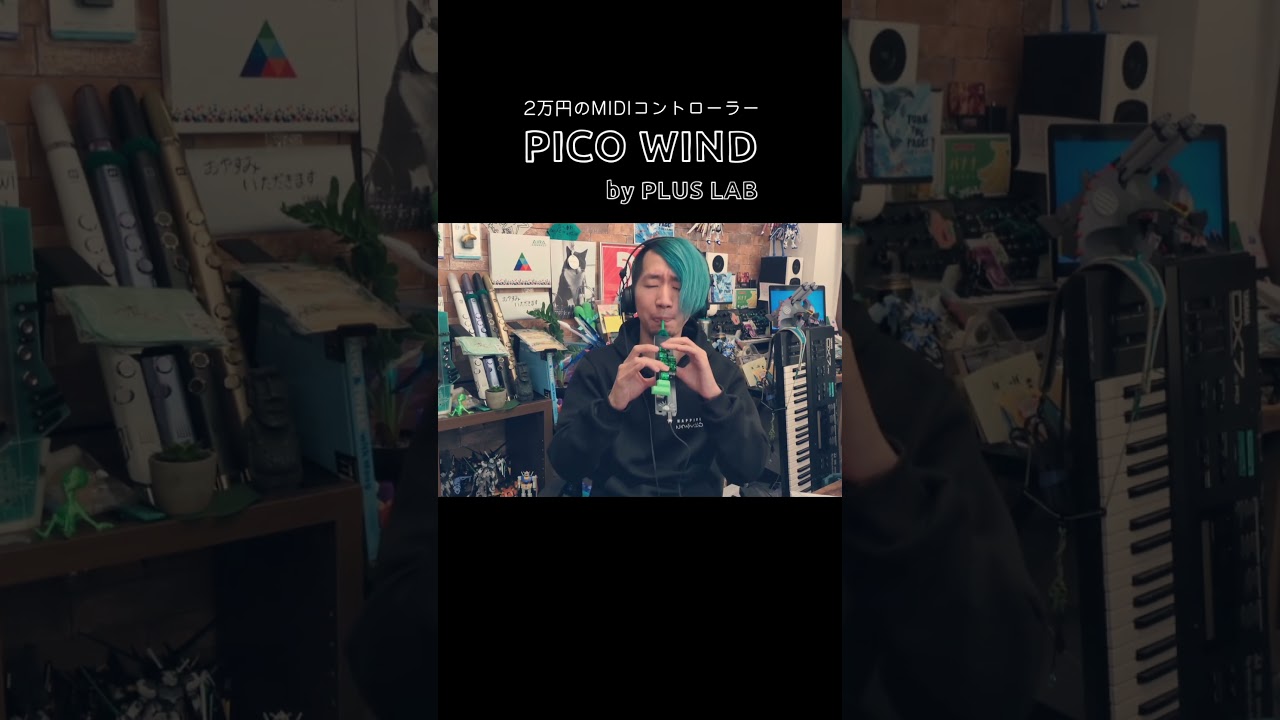 2万円のコントローラーでTRUTH吹いてみた/ PICOWIND - YouTube