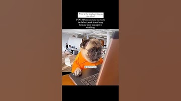 #memes #programming #youtube #coding #codelife #tech #softwareengineer #reels #instagram#officelife