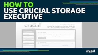 Crucial: Computer Memory, Storage, and Tech Advice 