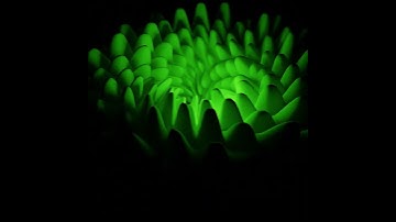 Artichoke - #open #artichoke #blender #3d #animation #video #abstract #material #loop