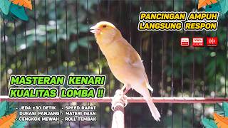 Kenari GACOR NGEREK‼️ Masteran Kenari PAUD dan Pancingan Kenari MACET BUNYI dan Betina NGIWIR - 387