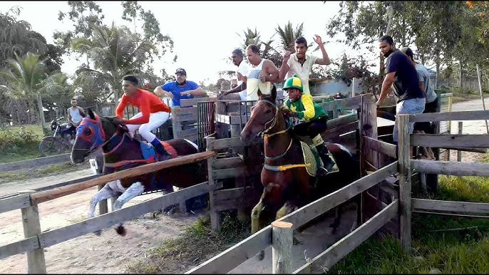 630+ Corrida De Obstáculos Corrida De Cavalos vídeos e Clipes de