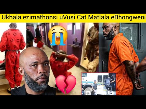 Kushubile UVusi Cat Matlala Ekhala NgeJele Aboshelwe Kulo EBhongweni Ecela Ukususwa Zizwele Nayi Kushubile UVusi Cat Matlala Ekhala NgeJele Aboshelwe Kulo EBhongweni Ecela Ukususwa Zizwele Nayi