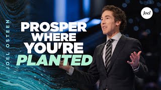 Prosper Where You're Planted | Joel Osteen