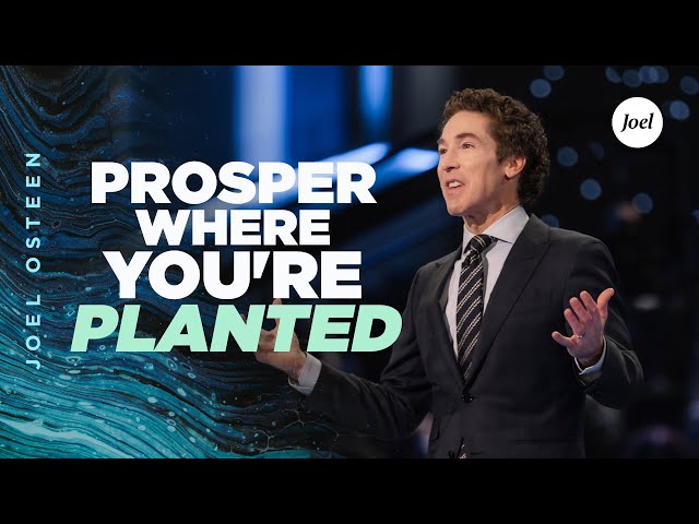 Prosper Where You're Planted | Joel Osteen class=