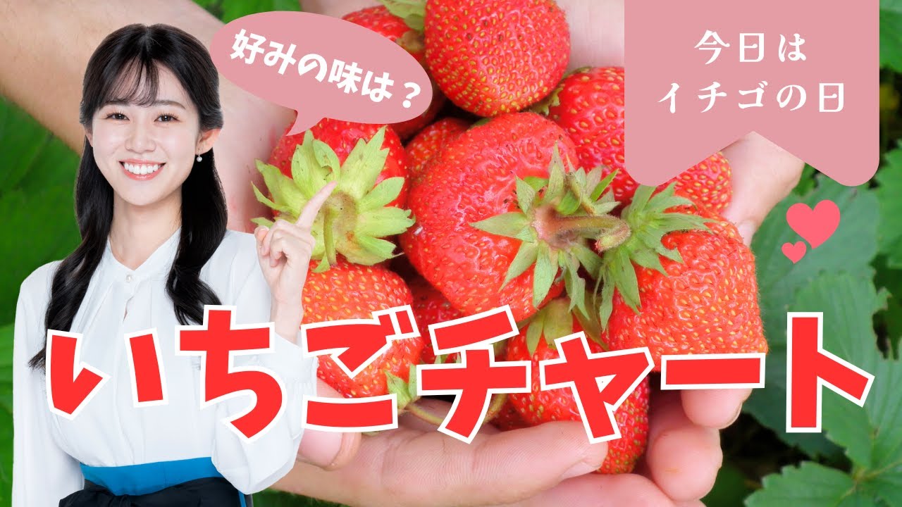 いちご様　確認用　5点 いちご様　確認用　5点