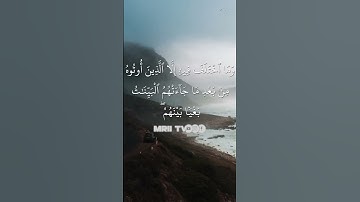 ماهر المعيقلي - سورة البقرة ( برواية حفص عن عاصم ) الأية 213