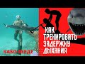 КАК ТРЕНИРОВАТЬ ЗАДЕРЖКУ ДЫХАНИЯ ПРАВИЛЬНО! ПОДВОДНАЯ ОХОТА ,ДАЙВИНГ,ФРИДАЙВИНГ.