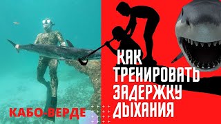 КАК ТРЕНИРОВАТЬ ЗАДЕРЖКУ ДЫХАНИЯ ПРАВИЛЬНО! ПОДВОДНАЯ ОХОТА ,ДАЙВИНГ,ФРИДАЙВИНГ.