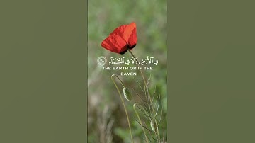 ربنا انك تعلم مانخفي ومانعلن -فارس عباد ( سورة ابراهيم)