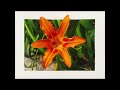 How to Shoot Glass-free 3D Photos