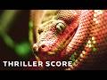 Tension Thriller Music for Filmmakers | THE SERPENT'S HEAD (Horror Tension)