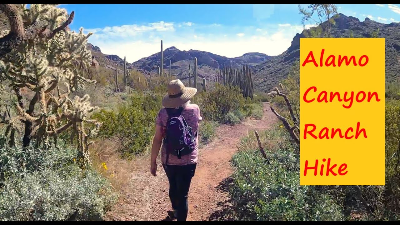 Alamo Canyon Ranch at Organ Pipe Cactus National Monument