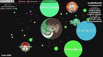 Agario gameplay with my bot (agarbots.ovh)