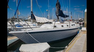 1981 Ericson 38 Video Tour | California Yacht Sales by California Yacht Sales 2,225 views 1 year ago 3 minutes, 12 seconds