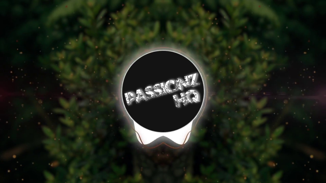 Sleazy Stereo - Pass Out Riddim